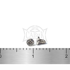 ШУРУПЫ IB С ПЛОСКОЙ ЦИЛИНДРИЧЕСКОЙ ШЛЯПОЙ С ОСТРЫМ КОНЦОМ МИКРО